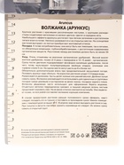 Волжанка двудомная «Горацио», корневище в пакете с торфогрунтом, р-р I, 1 шт. - фото 41487218
