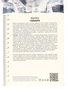 Гейхера (Хеухера) гибридная Берри Смути, корневище в пакете с торфогрунтом, р-р I, 1 шт. - Фото 2