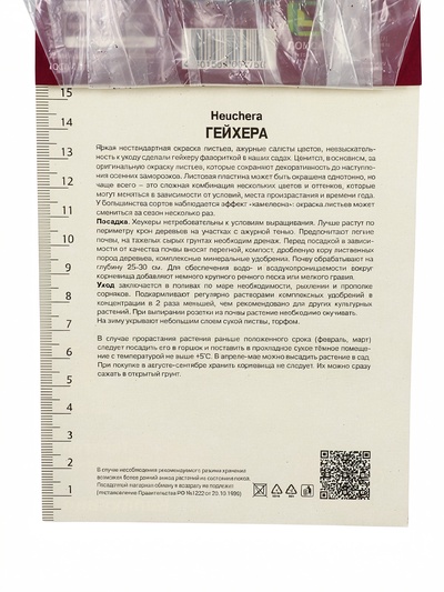 Гейхера (Хеухера) гибридная Каппучино р-р I, 1 шт. Весна 2026
