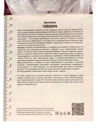 Гейхера (Хеухера) гибридная Кримсон Кёрлс, корневище в пакете с торфогрунтом, р-р I, 1 шт. - Фото 1