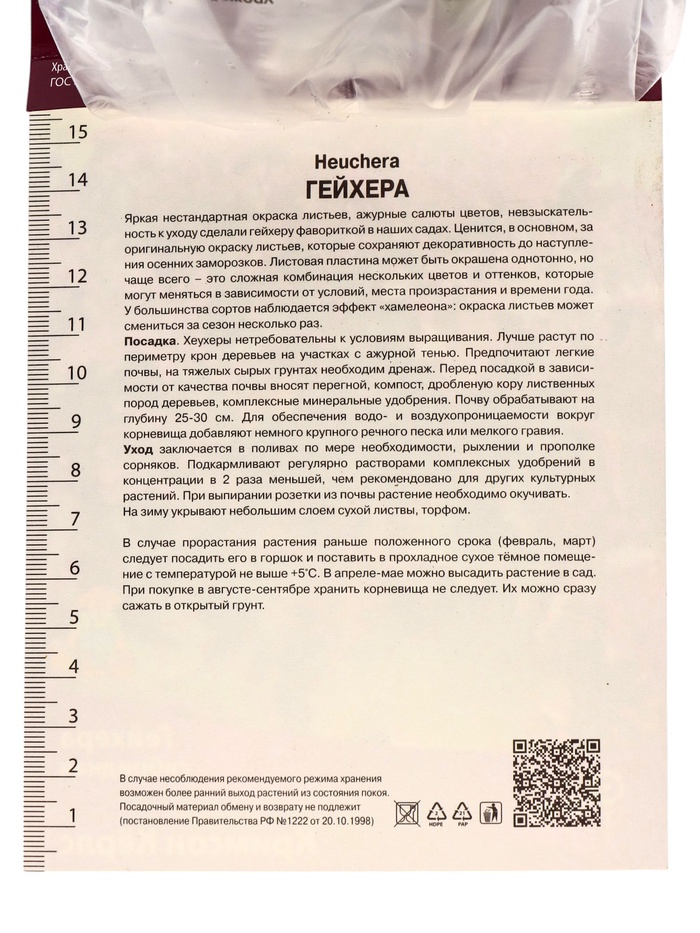 Гейхера (Хеухера) гибридная Кримсон Кёрлс, корневище в пакете с торфогрунтом, р-р I, 1 шт. - Фото 1