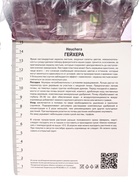 Гейхера (Хеухера) кроваво-красная Корал Форест, корневище в пакете с торфогрунтом, р-р I, 1 шт. - Фото 3
