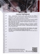 Герань гибридная Патриция, корневище в пакете с торфогрунтом, р-р I, 1 шт. 10369167 - фото 4357395
