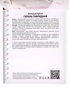 Герань гибридная Сью Круг, корневище в пакете с торфогрунтом, р-р I, 1 шт. 10369168 - фото 4357398