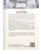 Герань луговая Лаура, корневище в пакете с торфогрунтом, р-р I, 1 шт. 10369173 - фото 4357411
