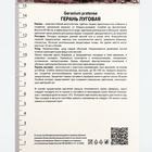 Герань луговая Сплиш Сплэш, корневище в пакете с торфогрунтом, р-р I, 1 шт. 10369175 - фото 4357414