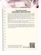 Гипсофила метельчатая Бристол Фэйри, р-р I, 1 шт, Весна 2025 10369178 - фото 4357419