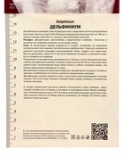 Дельфиниум высокий Госсамер, р-р I, 1 шт, Весна 2025 10369188 - фото 4357425