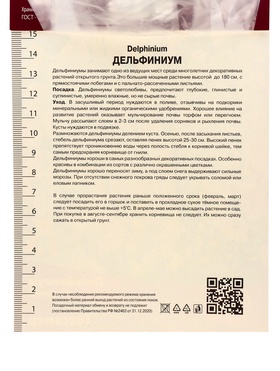 Дельфиниум высокий Госсамер, корневище в пакете с торфогрунтом, р-р I, 1 шт. 10369188