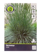 Овсяница сизая, р-р I, 1 шт., Весна 2026 - Фото 1