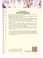 Ирис бородатый Блэк Найт, р-р I, 1 шт, Весна 2025 10369223 - фото 4357482