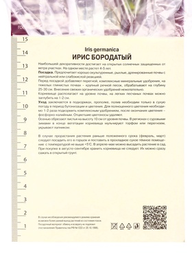 Корневище Ирис бородатый Блэк Найт, р-р I, 1 шт.