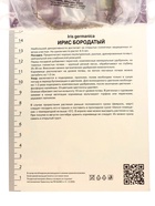 Ирис бородатый «Иммортэлити», 1 шт., Осень 2026, «ПОИСК» - Фото 2