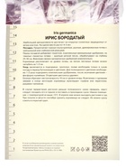Ирис бородатый Натчез Трейс, р-р I, 1 шт, Весна 2025 10369231 - фото 4357494
