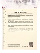 Ирис бородатый Салтанс Пэлас, р-р I, 1 шт, Весна 2025 10369236 - фото 4357500