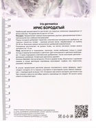 Ирис бородатый Суперстишн, р-р I, 1 шт, Весна 2025 10369237 - фото 4357503