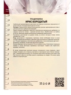 Ирис бородатый Хэллоуин Хало, р-р I, 1 шт, Весна 2025 10369238 - фото 4357507