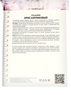 Ирис карликовый Бенбери Раффлс, р-р I, 1 шт, Весна 2025 10369243 - фото 4357513