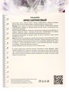 Ирис карликовый Вестстар, р-р I, 1 шт, Весна 2025 10369244 - фото 4357516