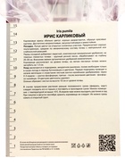 Ирис карликовый Демон, р-р I, 1 шт, Весна 2025 10369247 - фото 4357519