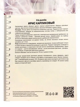 Корневище Ирис карликовый Демон, р-р I, 1 шт, Лето 2025