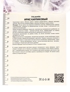 Ирис карликовый Фокус Покус, р-р I, 1 шт, Весна 2025 10369251 - фото 4357522