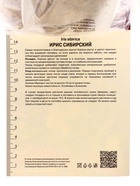 Ирис сибирский Блэк Джокер, р-р I, 1 шт, Весна 2025 10369266 - фото 4357550