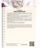 Ирис сибирский Диэ Дилайт, р-р I, 1 шт, Весна 2025 10369269 - фото 4357553