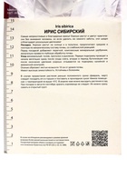 Ирис сибирский Дринк йо Ти, р-р I, 1 шт, Весна 2025 10369271 - фото 4357556