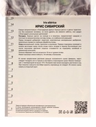 Ирис сибирский Магнетизм, р-р I, 1 шт, Весна 2025 10369279 - фото 4357568