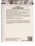 Ирис сибирский «Саммер Ревелз», 1 шт., Осень 2026, «ПОИСК» - Фото 2