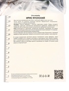 Ирис японский «Леди ин Вейтинг», 1 шт., Осень 2026, «ПОИСК» - Фото 2