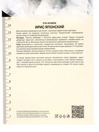 Ирис японский «Персефон», 1 шт., Осень 2026, «ПОИСК» - Фото 2