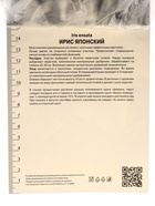 Ирис японский Шугар Доум, р-р I, 1 шт, Весна 2025 10369303 - фото 4357606