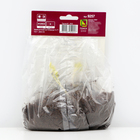 Клопогон простой Вайт Пёрл, р-р I, 1 шт. - Фото 5