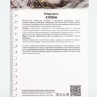 Купена многоцветковая, р-р I, 1 шт, Весна 2025 10369337 - фото 4357632