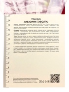 Лабазник обыкновенный Плена, р-р I, 1 шт, Весна 2025 10369341 - фото 4357640