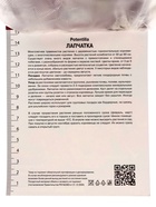 Лапчатка гибридная Вильям Роллиссон, р-р I, 1 шт, Весна 2025 10369342 - фото 4357643