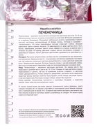 Печеночница азиатская, р-р I, 1 шт, Весна 2026 10369368