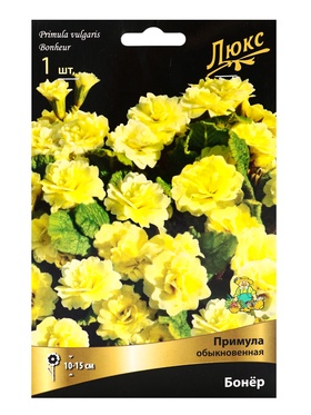 Примула Бонёр, р-р I, 1 шт, Лето 2025 10369378