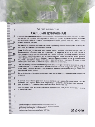 Сальвия дубравная (Шалфей) Карадонна, р-р I, 1 шт. Весна 2026
