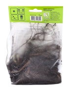 Сальвия дубравная (Шалфей) Шнеехёгль, р-р I, 1 шт, Осень 2025 - Фото 2