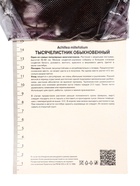 Тысячелистник обыкновенный Терракота, р-р I, 1 шт, Лето 2025 10369411 - фото 16370002