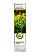 Саженец Бересклет японский «Микрофиллус Ауреовариегатус», декоративный, туба, 1 шт. 10369449