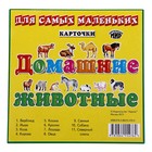 Обучающие карточки "Домашние животные" - Фото 1