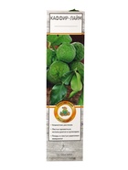 Цитрус Каффир лайм (Папеда ежеиглистая) туба, 1 шт. Весна 2026 - Фото 3