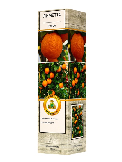 Цитрус Лиметта Россо, туба, 1 шт. Весна 2026