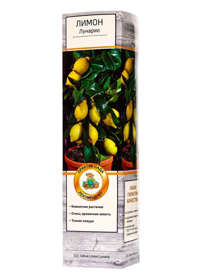 Цитрус Лимон Лунарио, туба, 1 шт. Весна 2026 - Фото 1