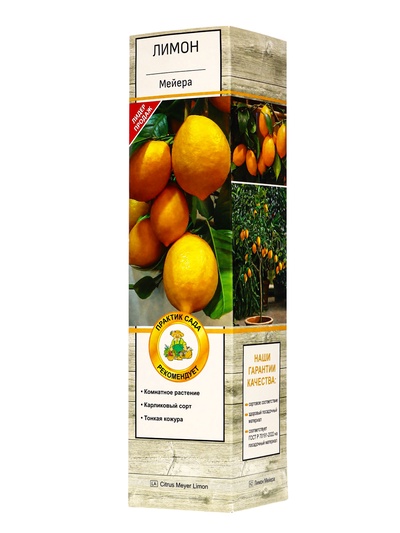 Цитрус Лимон Мейера, туба, 1 шт. Весна 2026