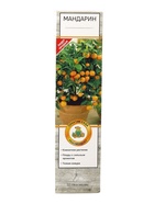 Цитрус Мандарин (Ретикулата) туба, 1 шт. Весна 2026 - Фото 3